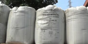 Mengandung Porcine 312 Ton Meat Bone Meal Asal Brazil Dimusnahkan