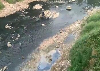 Sungai Cileungsi Diduga Tercemar Limbah Industri, Air Menghitam Dan Berbau Menyengat