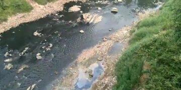 Sungai Cileungsi Diduga Tercemar Limbah Industri, Air Menghitam Dan Berbau Menyengat