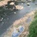 Sungai Cileungsi Diduga Tercemar Limbah Industri, Air Menghitam Dan Berbau Menyengat