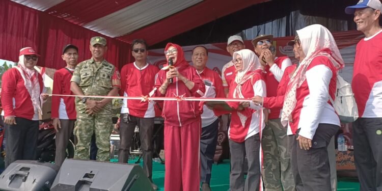 Pesta Rakyat Desa Cibeber 1, Lapangan Hegarsari Memerah, Ribuan Peserta Jalan Sehat Semarakan HUT KE-81 RI