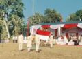 Merdeka Dari Desa! Ketua RT/RW Jadi Paskibra, Bendera 209 Meter Satukan Warga Cihideung Udik