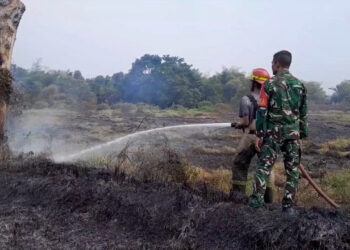 Kebakaran Lahan Dua Hektare Nyaris Capai Permukiman