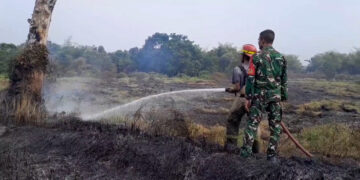 Kebakaran Lahan Dua Hektare Nyaris Capai Permukiman