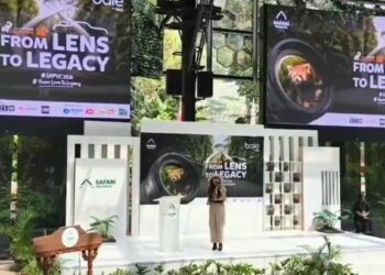 IAPVC 2026 Angkat Pesan Pelestarian Satwa Lewat Foto Dan Video