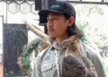 Elang Jawa Di Taman Safari Diberi Nama Garuda, Dibesarkan Alami Oleh Induknya