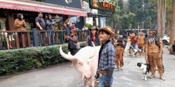 Parade Satwa Meriahkan HUT KE-81 RI Di Taman Safari Indonesia, Jadi Hiburan Sekaligus Edukasi Bagi Pengunjung