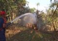 Kebun Bambu Terbakar di Kadudampit, Api Nyaris Hanguskan Bangunan Sekolah