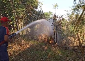 Kebun Bambu Terbakar di Kadudampit, Api Nyaris Hanguskan Bangunan Sekolah