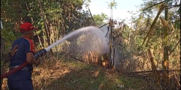 Kebun Bambu Terbakar di Kadudampit, Api Nyaris Hanguskan Bangunan Sekolah