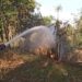 Kebun Bambu Terbakar di Kadudampit, Api Nyaris Hanguskan Bangunan Sekolah