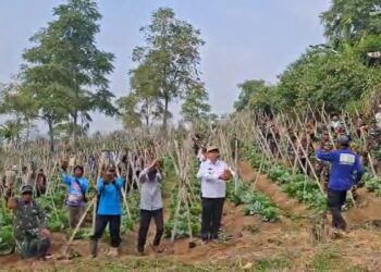 Kodim 0607 Kota Sukabumi Tanam Sejuta Pohon Untuk Cegah Banjir Dan Longsor