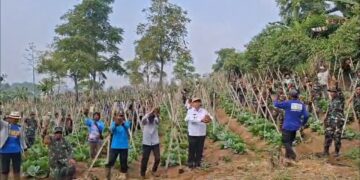 Kodim 0607 Kota Sukabumi Tanam Sejuta Pohon Untuk Cegah Banjir Dan Longsor