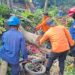 Pohon Tumbang Timpa Motor dan Kabel Listrik di Villa Duta, Empat Orang Luka