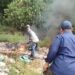 POL PP Kecamatan Cibungbulang, Amankan Pelaku Pembakaran Kabel Di TPAS Galuga