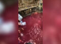 Mata Air Di Gunung Sindur Mendadak Merah, DLH Ambil Sampel untuk Uji Laboratorium
