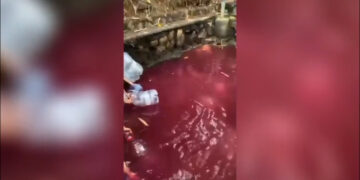 Mata Air Di Gunung Sindur Mendadak Merah, DLH Ambil Sampel untuk Uji Laboratorium