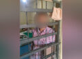 Viral Oknum Wartawan Ngamuk di SDN Sukaraja 2 Sukabumi, Hasil Tes Urine Positif Narkoba