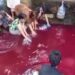 Kolam Raden Mas Pangeran Papak Berwarna Merah, Kades Imbau Tidak Gampang Percaya Medsos