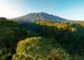 KDM Melarang Pendakian Gunung Hutan di Jawa Barat