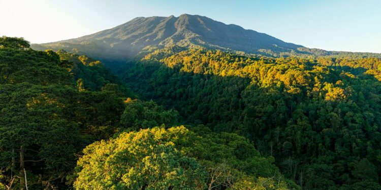 KDM Melarang Pendakian Gunung Hutan di Jawa Barat
