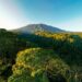 KDM Melarang Pendakian Gunung Hutan di Jawa Barat
