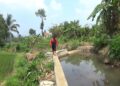 Bendungan Cibereum Hilir Kembali Berfungsi, 22 Hektare Sawah Terselamatkan dari Kekeringan