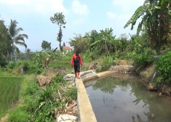 Bendungan Cibereum Hilir Kembali Berfungsi, 22 Hektare Sawah Terselamatkan dari Kekeringan