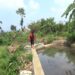Bendungan Cibereum Hilir Kembali Berfungsi, 22 Hektare Sawah Terselamatkan dari Kekeringan