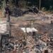 Diduga Lupa Matikan Kompor, Rumah Warga Kadudampit Sukabumi Ludes Terbakar