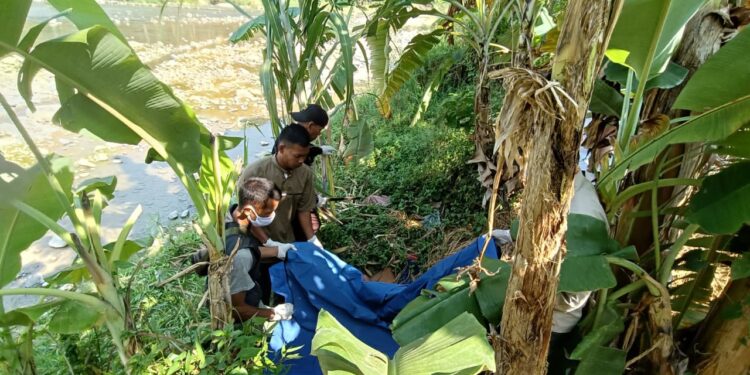 Mayat Perempuan Tanpa Identitas Ditemukan di Bawah Pohon Pisang di Cisolok Sukabumi