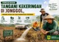 Kekeringan Melanda Jonggol, 701 Hektare Sawah Tadah Hujan Tak Bisa Ditanami
