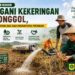 Kekeringan Melanda Jonggol, 701 Hektare Sawah Tadah Hujan Tak Bisa Ditanami