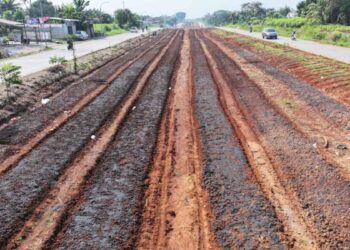 Lahan Bomang Digenjot Jadi Sentra Pangan, Korem 061/SK Libatkan Kelompok Tani