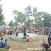 Mendengar Mendongeng di Taman Siliwangi, Pemkab Bogor Dorong Ruang Kreatif bagi Anak