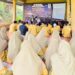 Peringati Hari Santri Nasional, Ponpes Darul Ihsan Gelar Camp Tahfidz untuk Recharging Semangat Santri Hafal Al-Qur’an