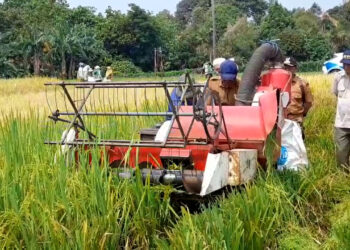 Pemkot Bogor Siapkan Bantuan Usaha Tani Dan Keringanan PBB Untuk Petani