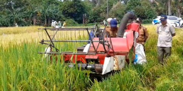Pemkot Bogor Siapkan Bantuan Usaha Tani Dan Keringanan PBB Untuk Petani