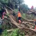 Hujan Deras Dan Angin Kencang Tumbangkan Pohon Beringin di SMAN 1 Cicurug, 12 Kendaraan Rusak