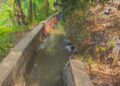 Irigasi Citepus Rusak, 50 Hektare Sawah di Palabuhanratu Terancam Gagal Tanam