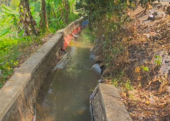 Irigasi Citepus Rusak, 50 Hektare Sawah di Palabuhanratu Terancam Gagal Tanam