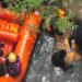 Pria Tanpa Identitas Tenggelam di Sungai Cicatih Sukabumi, Tim SAR Temukan Jasad di Kedalaman 6 Meter