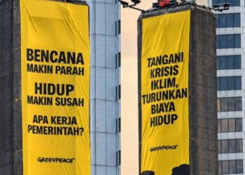 Enam Aktivis Greenpeace Dibebaskan, Disebut Perjuangan Belum Selesai !