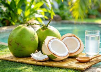 Baca ! Khasiat Kelapa Muda Lebih Dari Sekadar Pelepas Dahaga