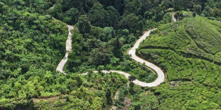 Rudy Susmanto Siapkan Poros Baru Bogor-Sukabumi-Lebak, Jalan Malasari Dibangun 20 Kilometer